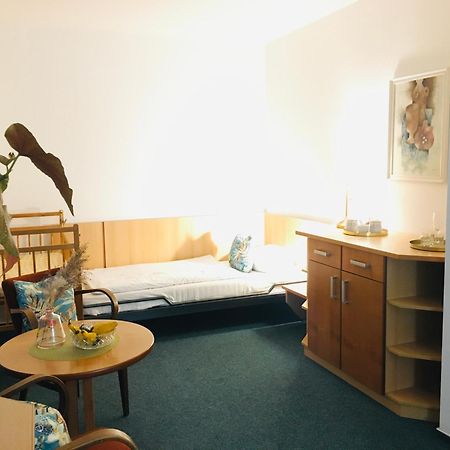 Penzion Hotelu Central Dvůr Králové nad Labem المظهر الخارجي الصورة