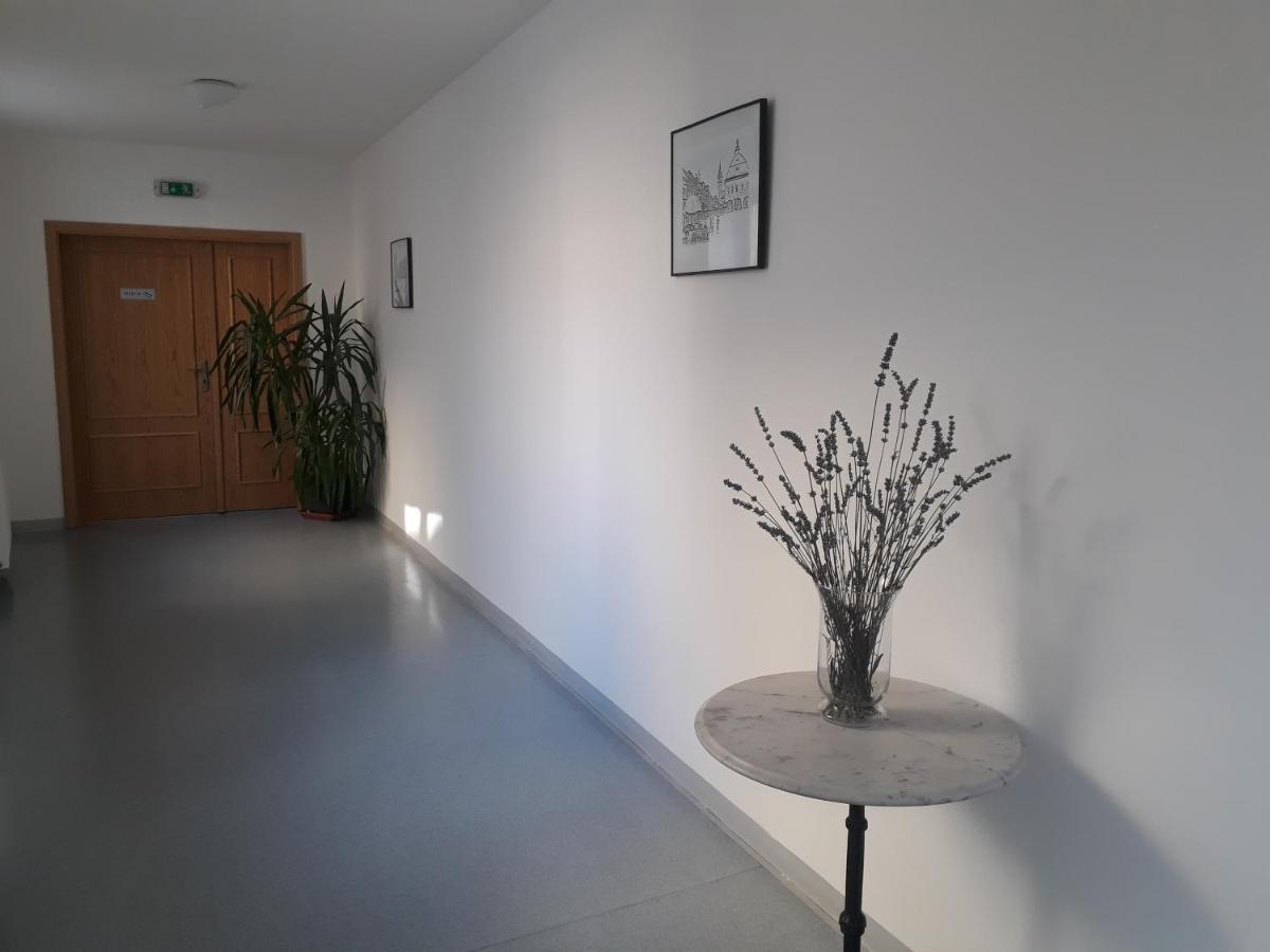 Penzion Hotelu Central Dvůr Králové nad Labem المظهر الخارجي الصورة