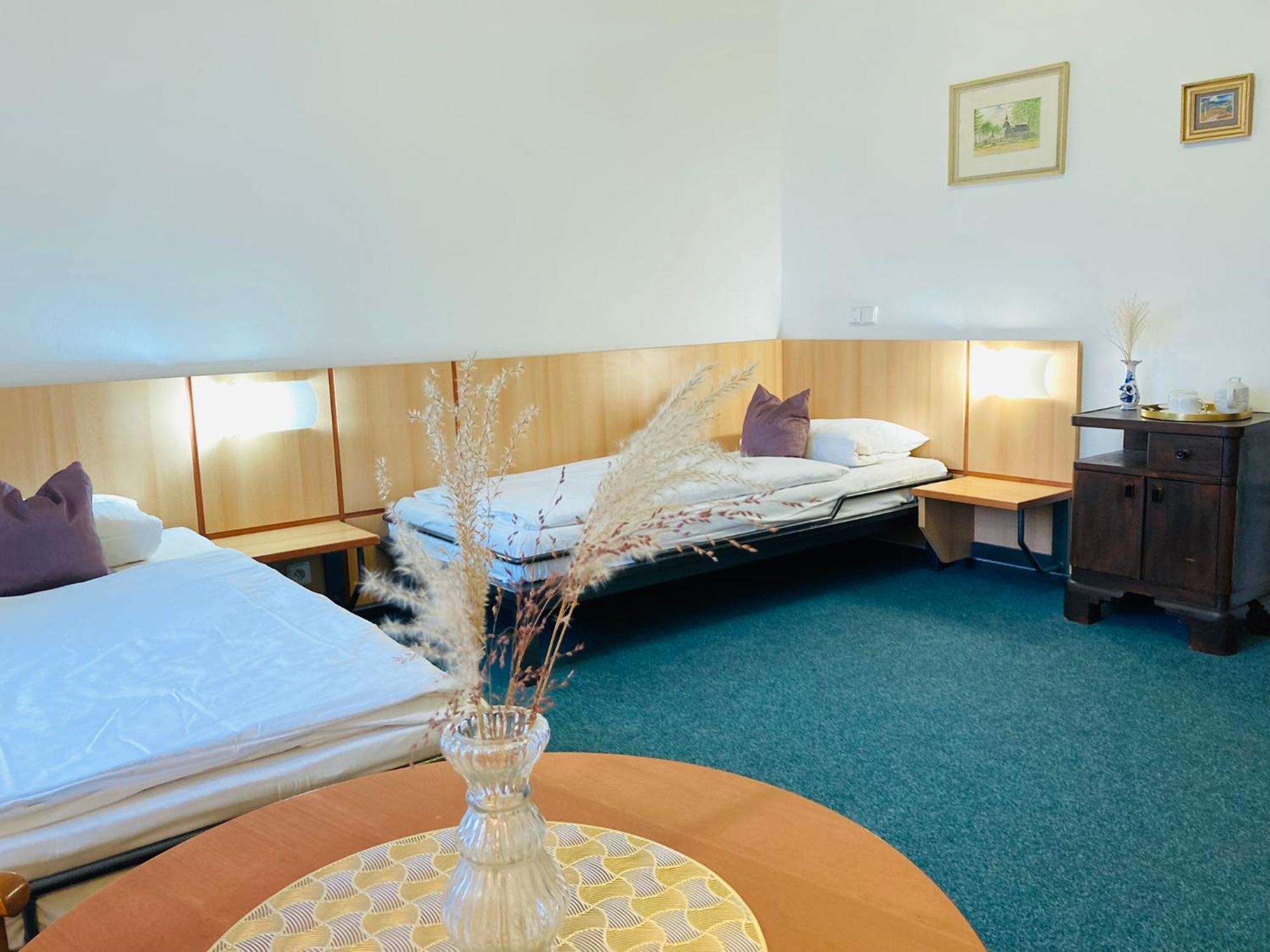 Penzion Hotelu Central Dvůr Králové nad Labem المظهر الخارجي الصورة