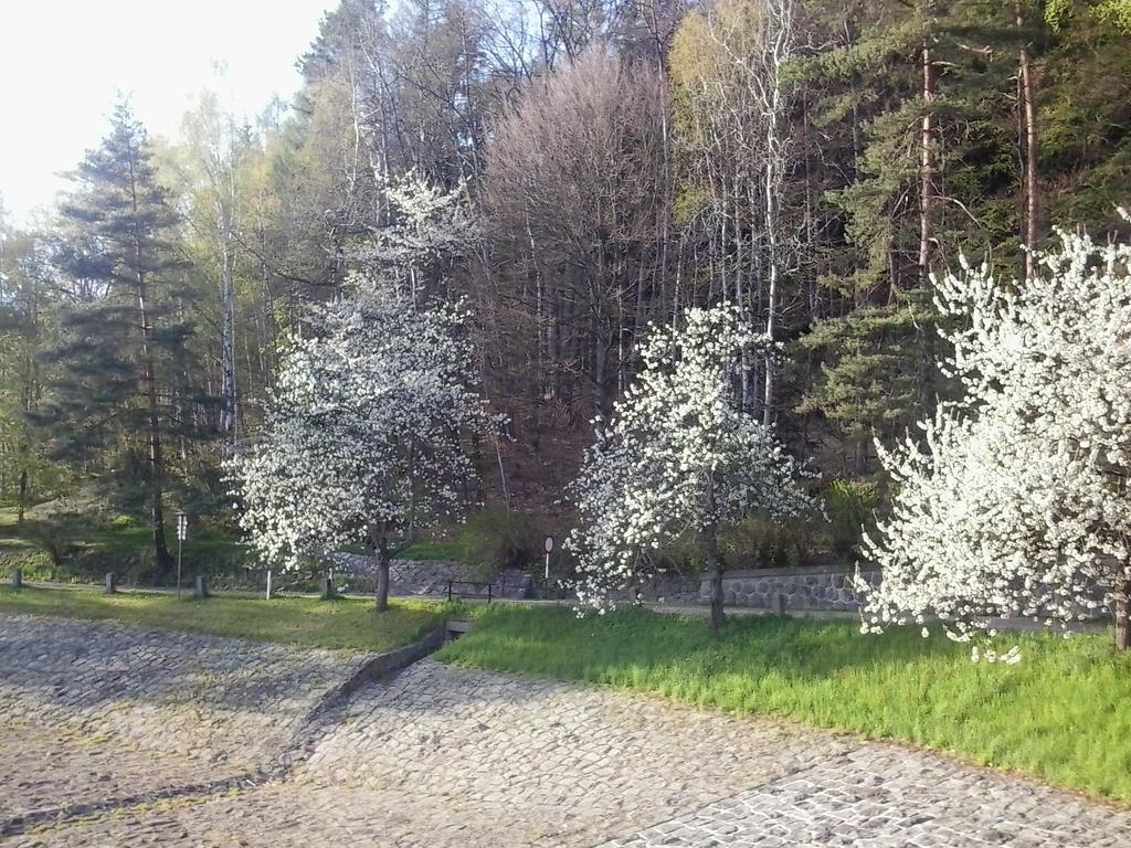 Penzion Hotelu Central Dvůr Králové nad Labem المظهر الخارجي الصورة